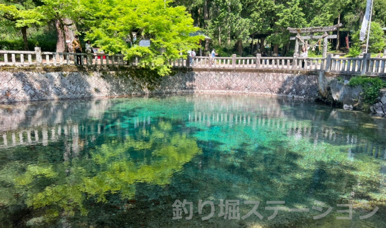 日本名水100選に選ばれた「別府弁天池」